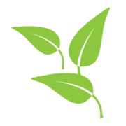 Little Leaves Behavioral Services logo